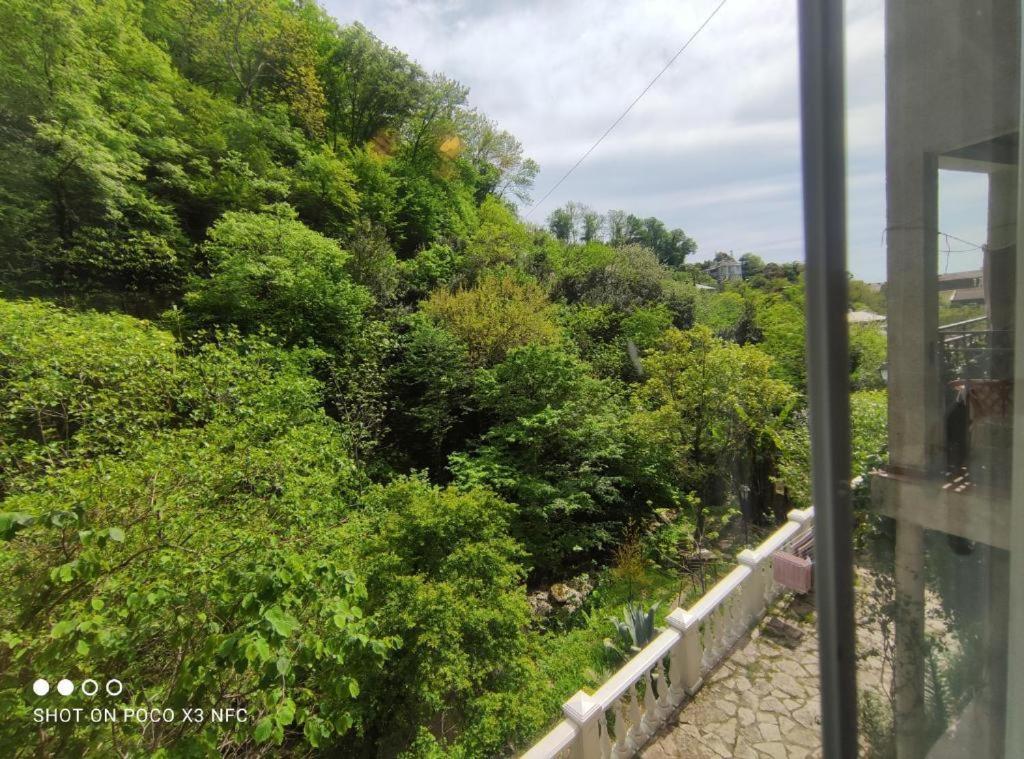 Guest House Chalet Agave Gagra Ngoại thất bức ảnh