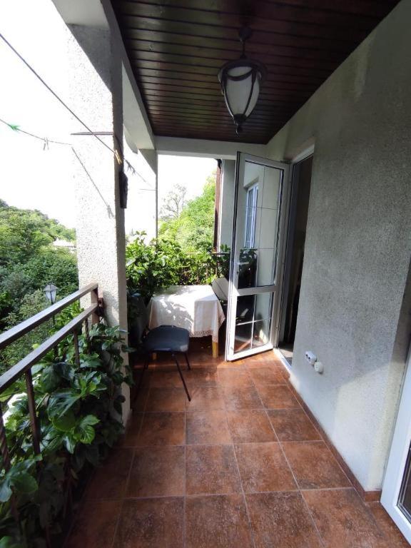 Guest House Chalet Agave Gagra Ngoại thất bức ảnh