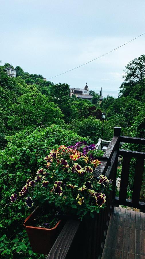 Guest House Chalet Agave Gagra Ngoại thất bức ảnh
