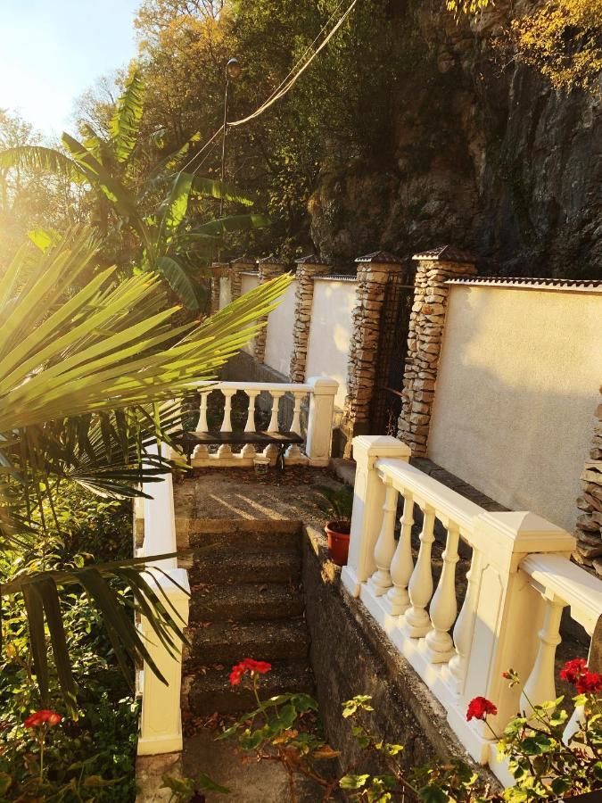 Guest House Chalet Agave Gagra Ngoại thất bức ảnh