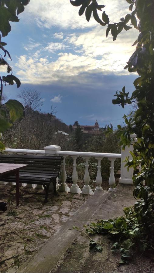 Guest House Chalet Agave Gagra Ngoại thất bức ảnh